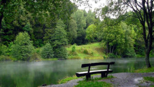 Rundwanderung am Haunesee