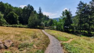 01_Singlewandern-Spessartweg3-Teil1_UteStraub