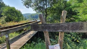 02_Singlewandern-Spessartweg3-Teil1_UteStraub