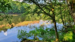 03_Singlewandern-Spessartweg3-Teil1_UteStraub