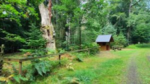 04_Singlewandern-Spessartweg3-Teil1_UteStraub