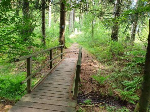 Single wanderungen rhon