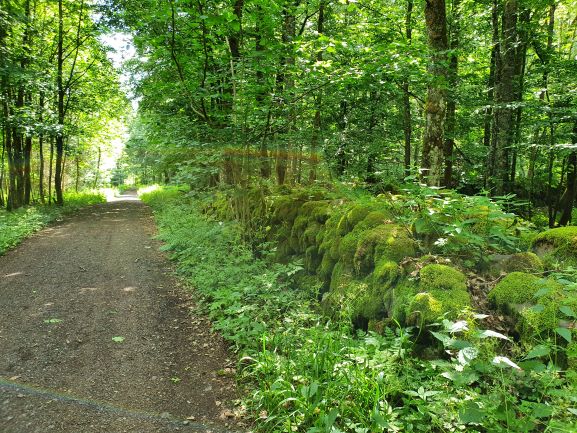 single wanderungen rhön