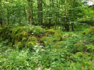 Lange Rhön Eisgraben UteStraub