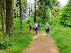 schöne Naturwege Mattenweg UteStraub