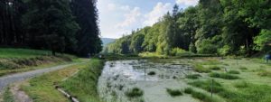 Singlewandern_Spessartweg3_UteStraub