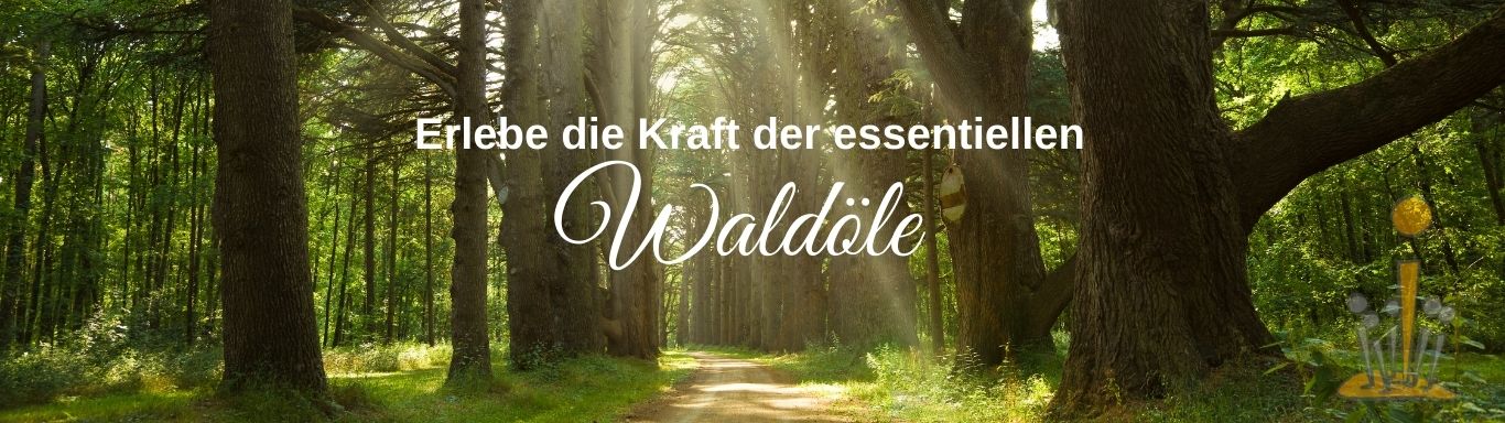 Essentielle Waldöle_ UteStraub