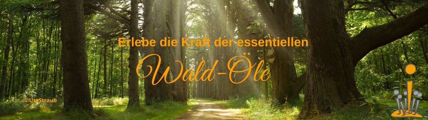 Essentielle Waldöle | Ute Straub